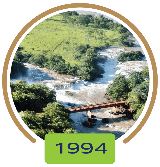 1994